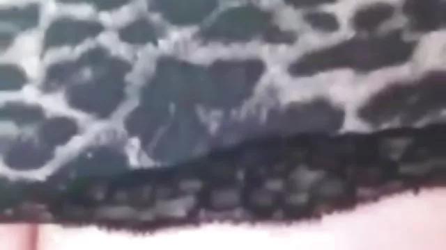 XXX bez rejestracji Anal pończochy nagie mokre cipki nastolatki